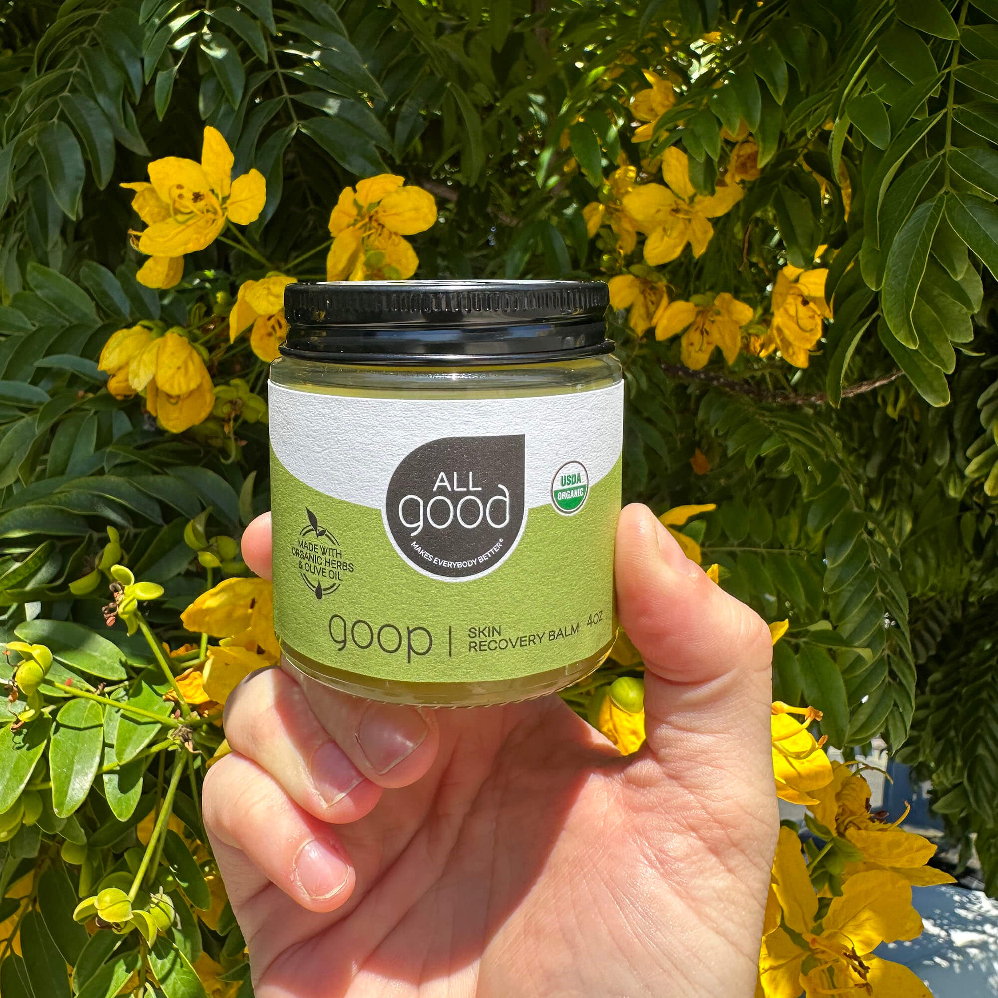 All Good Goop, 4 oz - Image 4