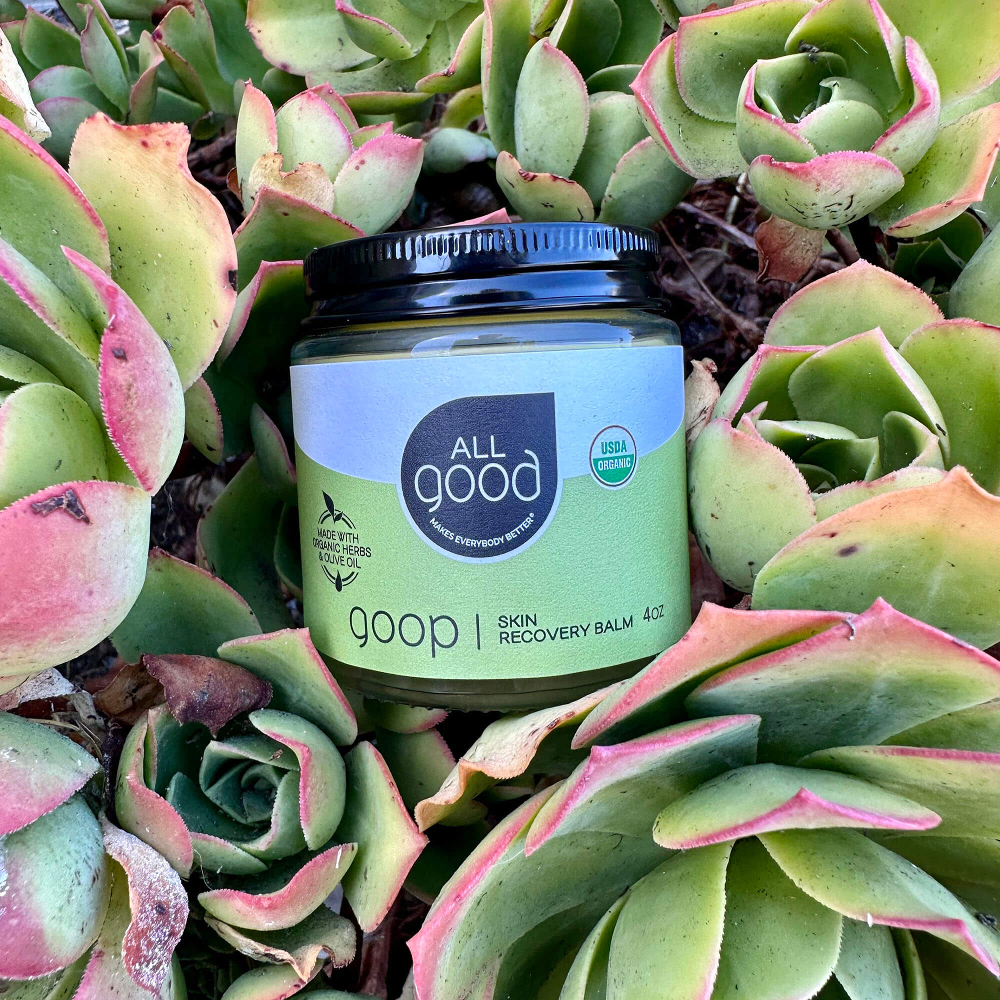 All Good Goop, 4 oz - Image 5