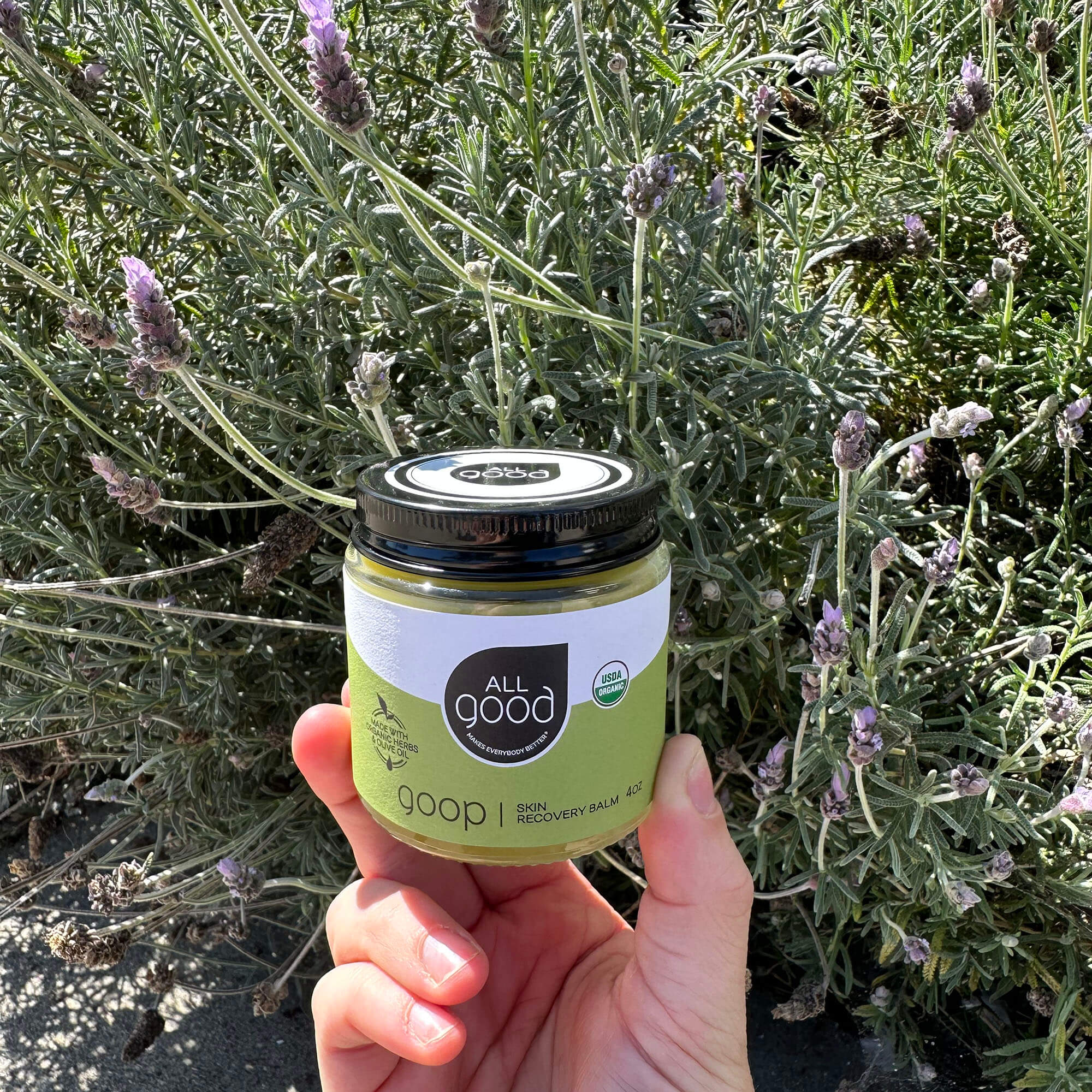 All Good Goop, 4 oz - Image 6